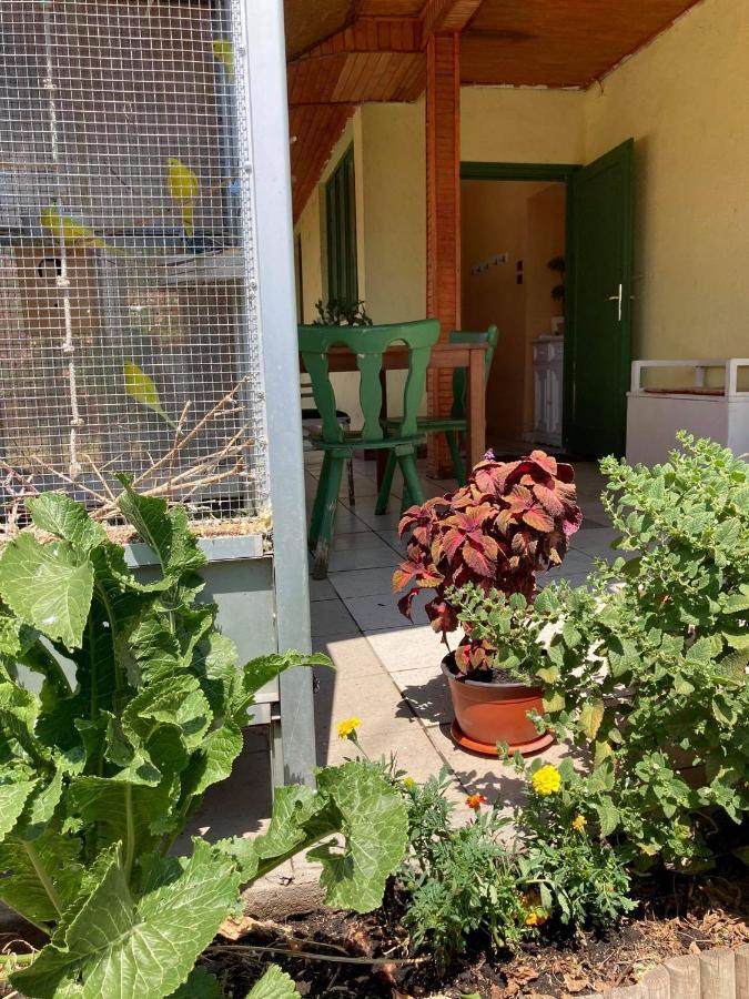 Leander Vendeghaz Appartement Gyöngyös Buitenkant foto